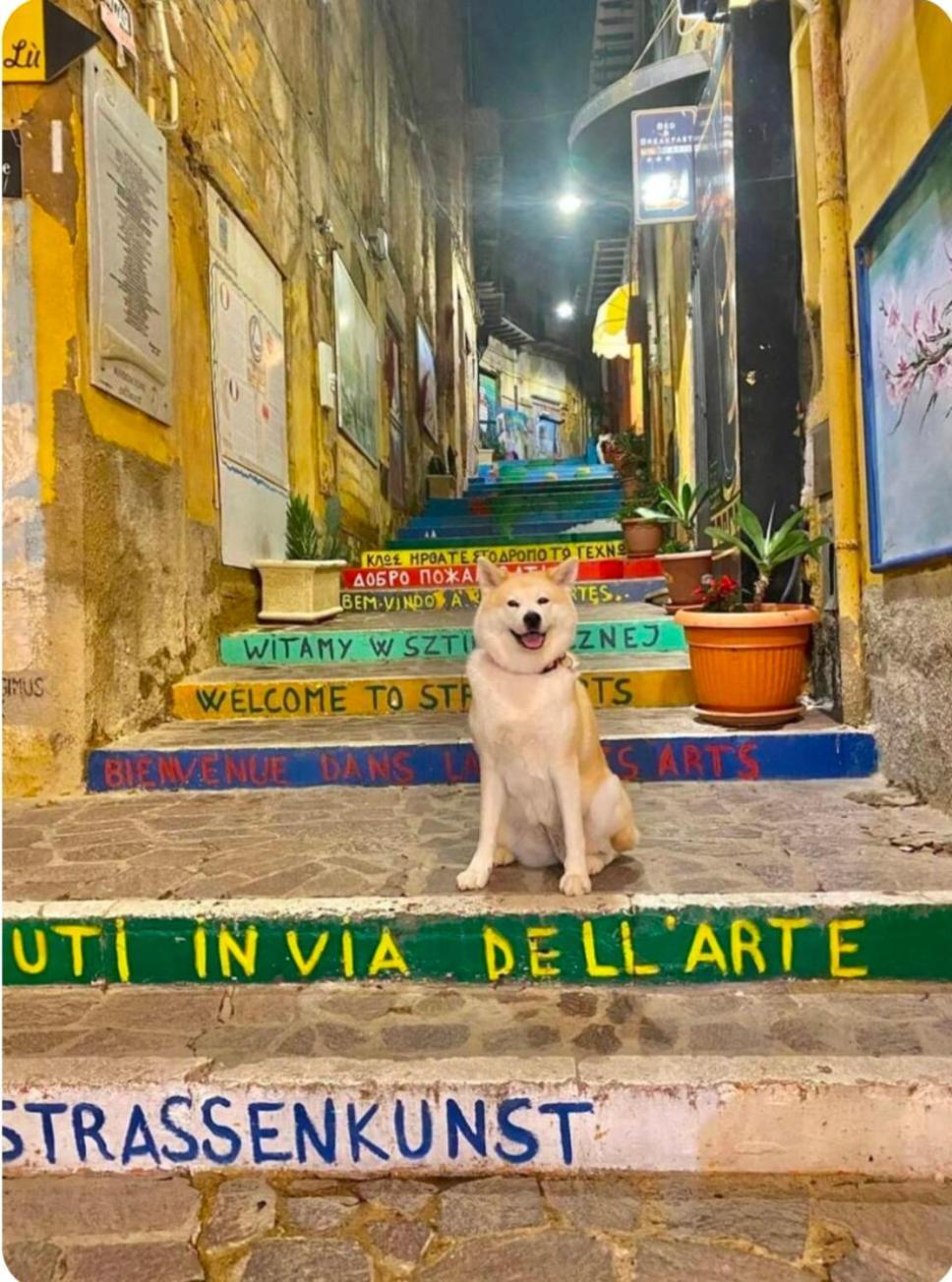 La Porta Dei Venti Daire Agrigento Dış mekan fotoğraf